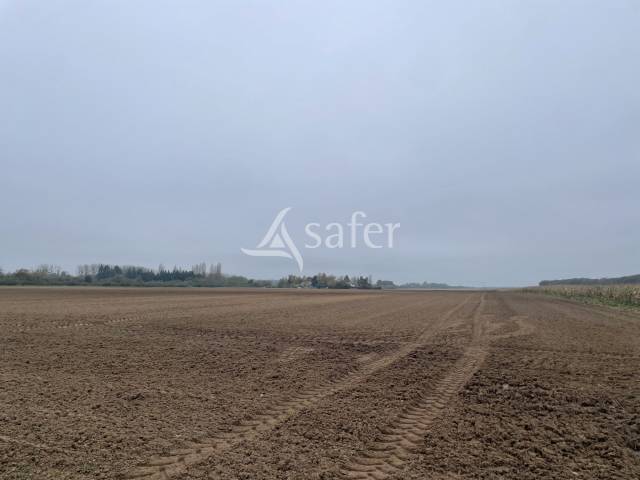 Explotación agrícola En venta Loiret