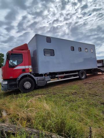 Camión para caballos Renault midlum 2004 De segunda mano