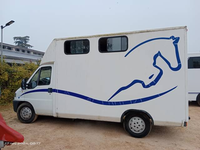 Furgoneta para caballos Fiat  DUCATO 2.8 JTD  2' SERIE 2002 De segunda mano