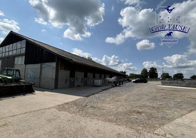 Centro ecuestre En venta Liège
