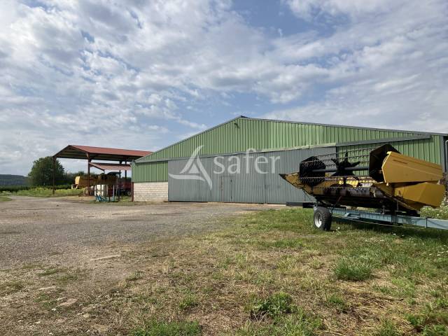 Explotación agrícola En venta Alto Saona