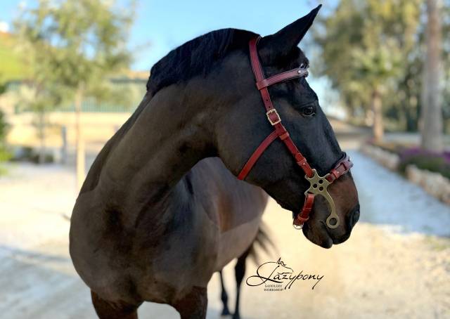 Cabezada hackamore barroca Lazypony/ Baroque hackamore 