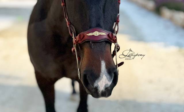 Hackamore baroco artesanal Lazypony / baroque hackamore