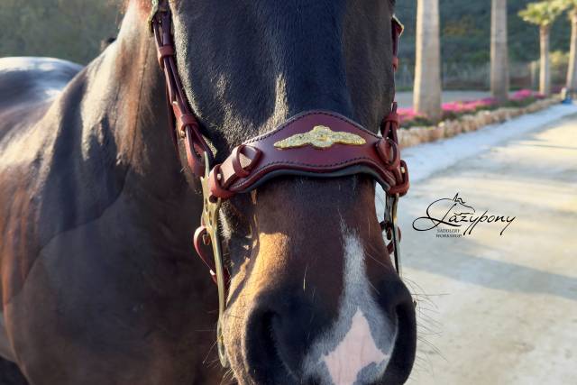 Hackamore baroco artesanal Lazypony / baroque hackamore