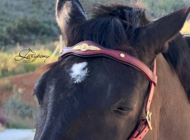 Frontalera clásica barroca Lazypony / Baroque browband