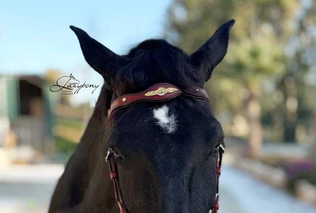 Frontalera clásica barroca Lazypony / Baroque browband