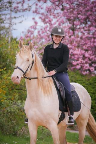 Caballo castrado PRE Pura Raza Española En venta 2022 Crema