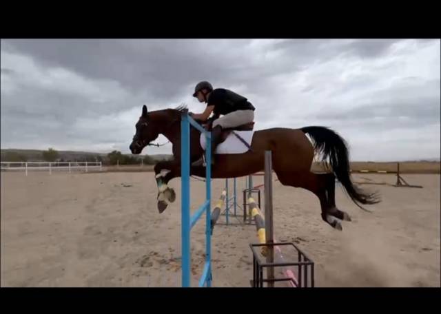 ANGOARABE SALTO/DOMA CON CARTA