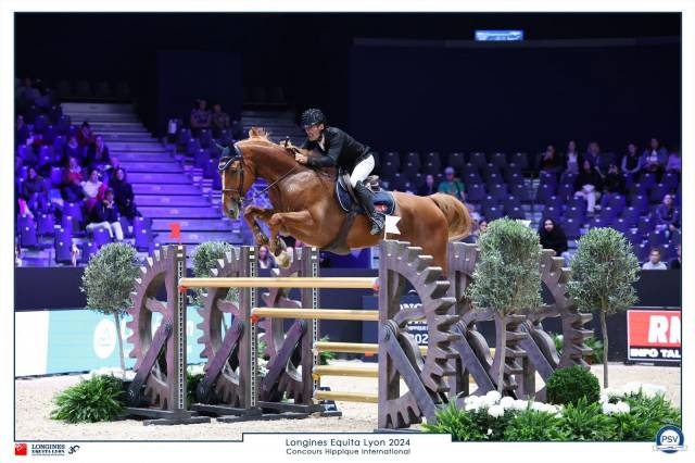 Caballo castrado Silla Francés En venta 2015 Alazán por MOZART DES HAYETTES