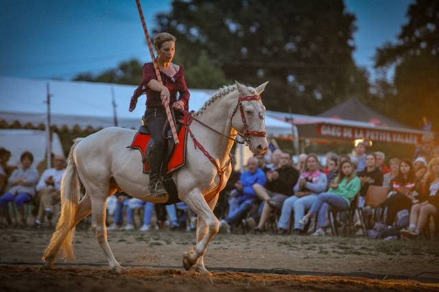 Delirio de Bouchetis  - AES Anglo European Studbook 2013 por ROBADOR