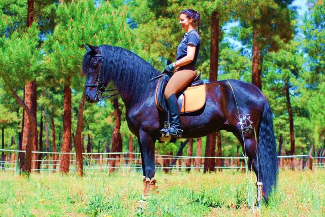 11YO SUPERKIND AND HANDSOME BLACK PRE, XRAYS, PIRO FREE
