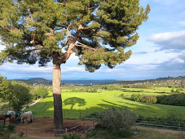 Propiedad ecuestre En venta Alpes de Alta Provenza