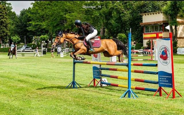 Venta de pony D de Salto