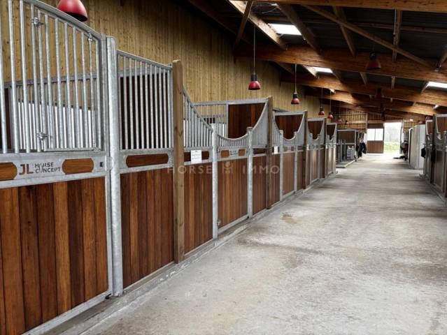 Acaballadero En venta Vendée