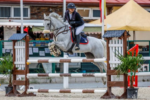Pony D de salto en venta