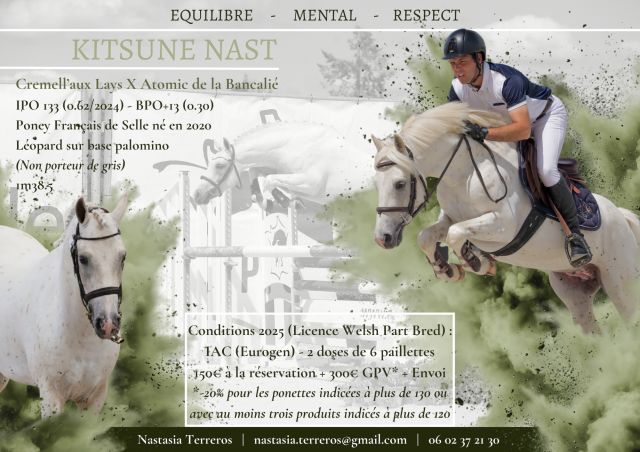 Kitsune Nast - PFS Poni Françés de Silla 2020 por Cremell'aux Lays