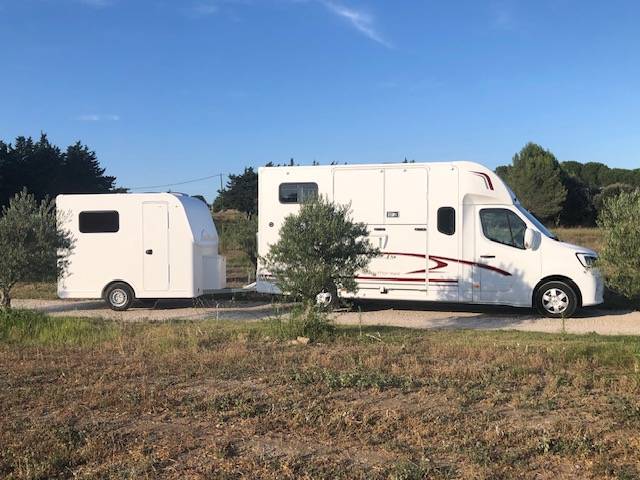 Furgoneta para caballos Trans Box sporting 2 2025 Nuevo