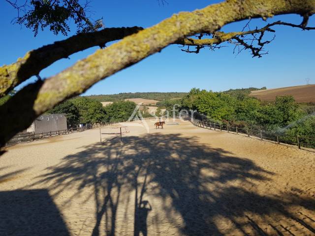 Propiedad ecuestre En venta Meurthe y Mosela