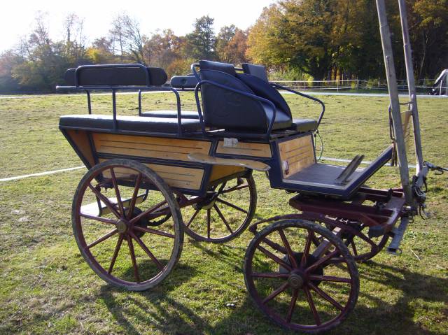 Coche enganches - Calesa   