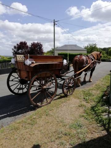 Coche enganches - Calesa   