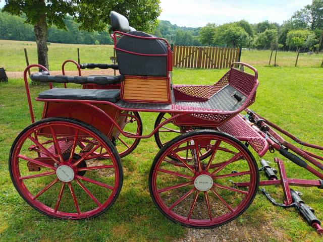 Coche enganches - Calesa - Otra marca - MARATHON 