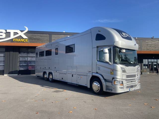 Camión para caballos STX  2019 De segunda mano