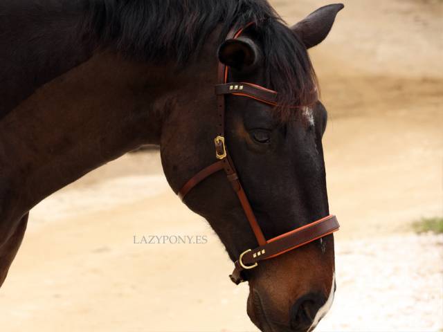 Cabezada sidepull clásica Lazypony / Leather sidepull