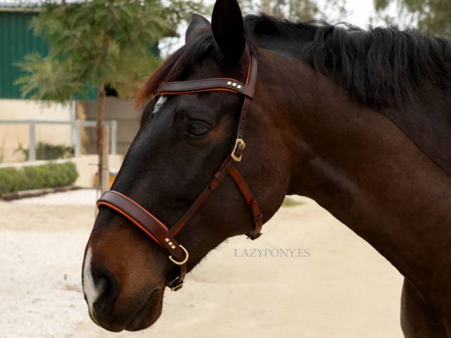 Cabezada sidepull clásica Lazypony / Leather sidepull