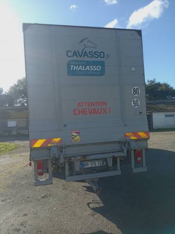 Camión para caballos - Otra marca - Premium 370 chx DCI  2002 De segunda mano