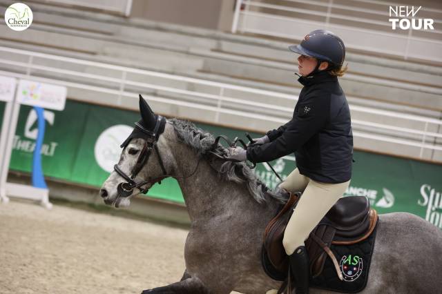 Caballo castrado Otra Raza de Poni Préstamo 2020 Tordo