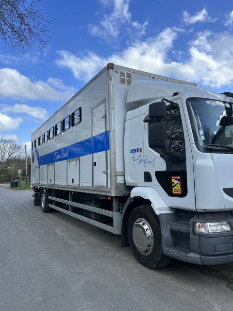 Camión para caballos Renault  2011 De segunda mano