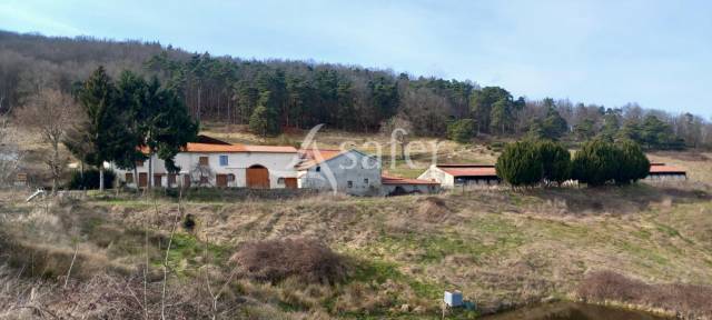 Explotación ovina En venta Loira