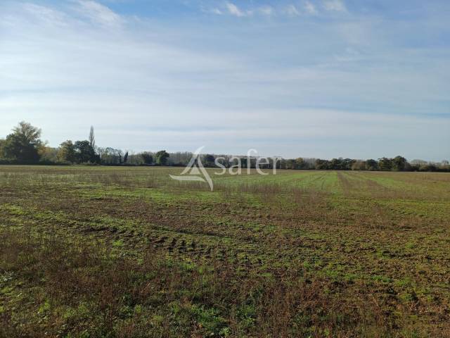 Explotación agrícola En venta Dordoña
