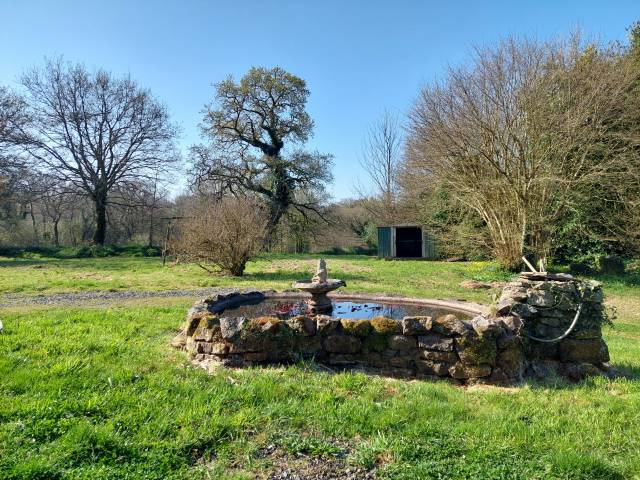 Granja ecuestre En venta Côte d'Armor