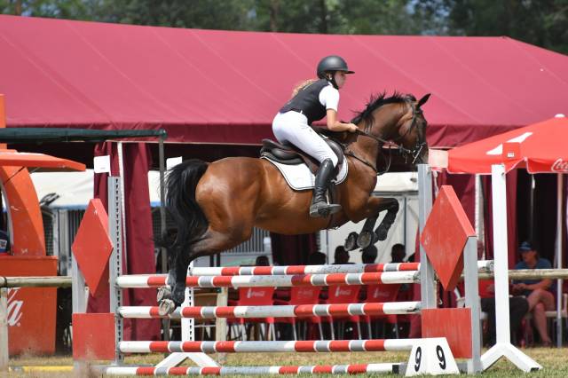 Caballo CDE para compartir