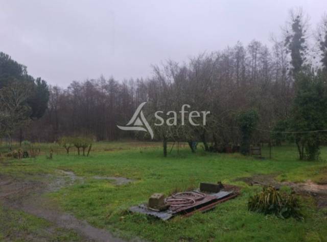 Propiedad rural En venta Loira Atlántico