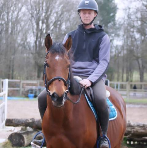 Caballo castrado Pura Sangre En venta 2016 Bayo