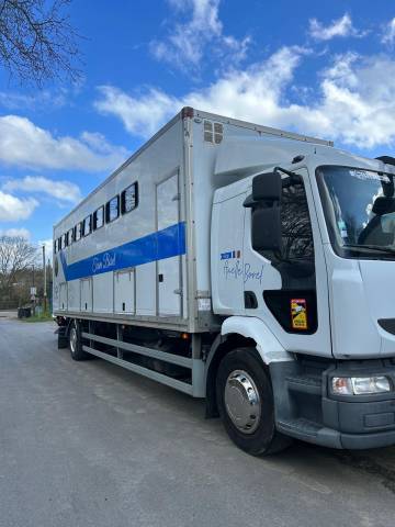 Camión para caballos Renault midle 2011 De segunda mano