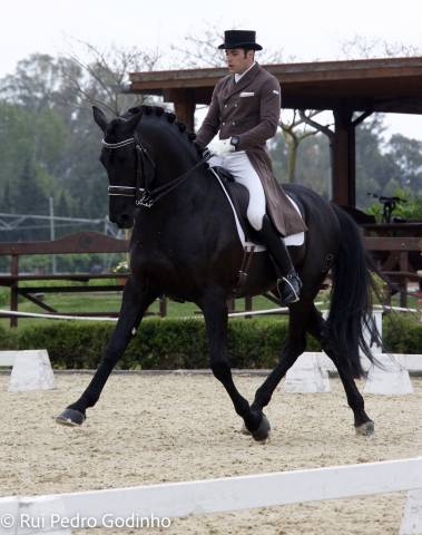 Kafu III - PRE Pura Raza Española 2007 por TORERO XI