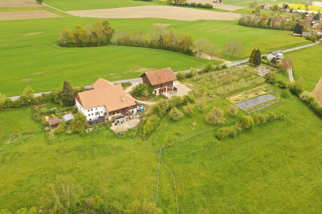 Granja ecuestre En venta Vaud
