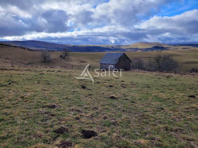 Explotación lechera En venta Cantal