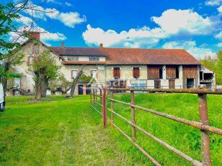 Explotación agrícola En venta Allier