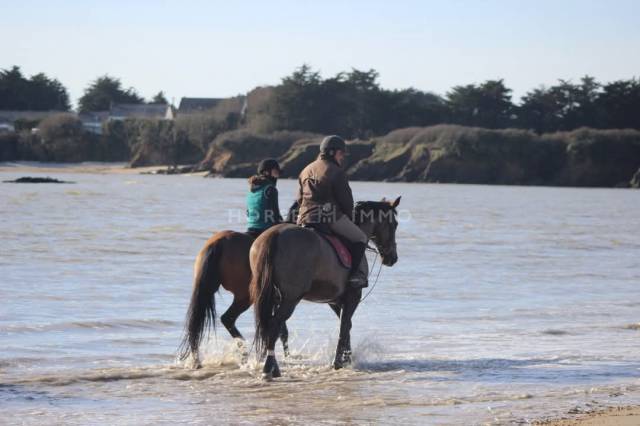 Acaballadero En venta Morbihan