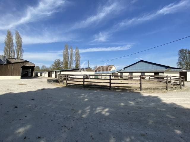 Propiedad ecuestre En venta Orne