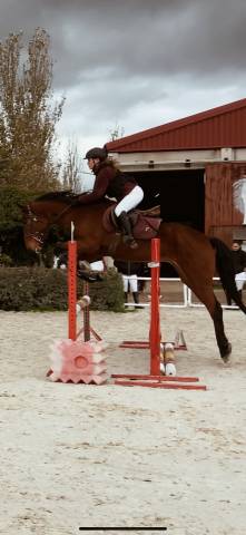 Busco caballo para compartir