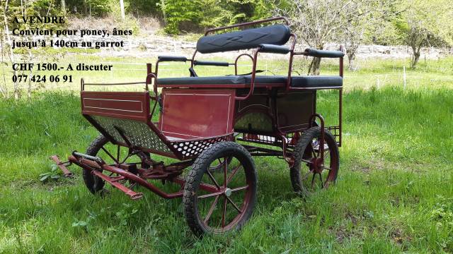 Coche enganches - Calesa   