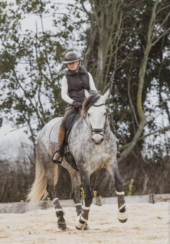Caballo castrado Lusitano En venta 2019 Tordo por SULTAO SS