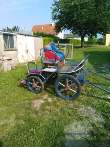 Coche enganches - Maratón ocio   