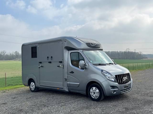 Furgoneta para caballos STX OPEL 2021 De segunda mano