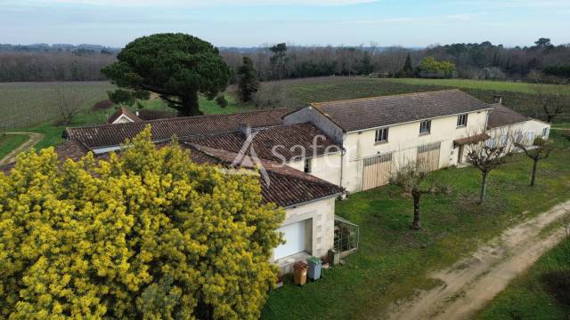 Explotación vitícola / Viñedo En venta Gironda